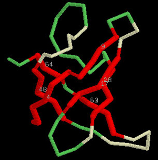 A threading core in RasMol. A threading core in RasMol.