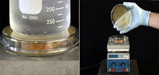 An image of a beaker, and an image of a hand holding a dish over a piece of lab equipment. An image of a beaker, and an image of a hand holding a dish over a piece of lab equipment.
