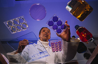 A photo from under a glass table, looking up at a researcher examining some cell cultures. A photo from under a glass table, looking up at a researcher examining some cell cultures.