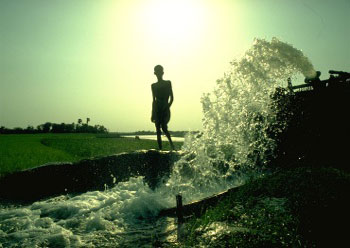 Photo of boy and irrigation.