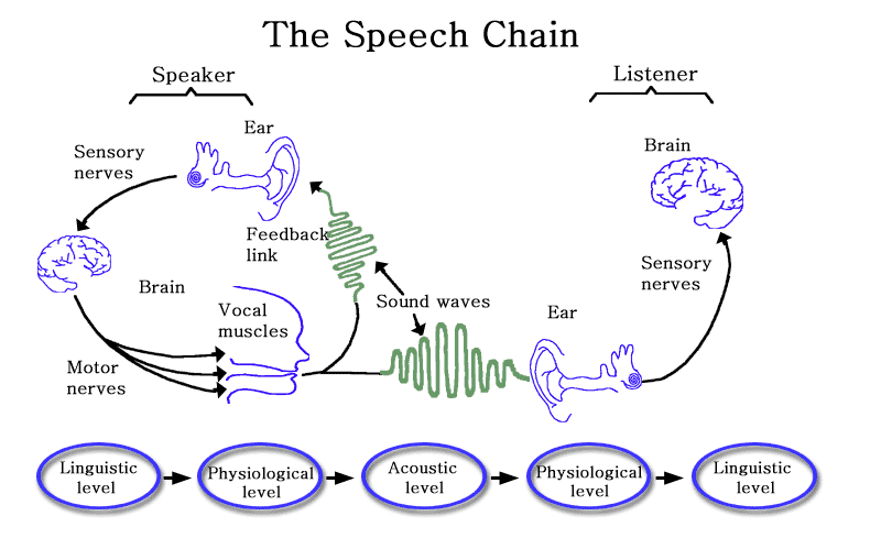 Speech chain graphic.