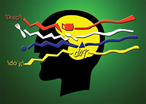 Stylized drawing of head processing language.