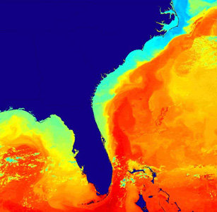 Sea surface temperature as derived from satellite imagery showing the deflection of the Gulf Stream.