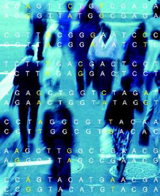 Single nucleotide polymorphisms. Single nucleotide polymorphisms.