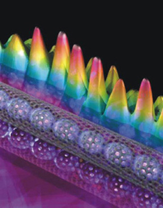 Three-dimensional illustration of nanotube structure.