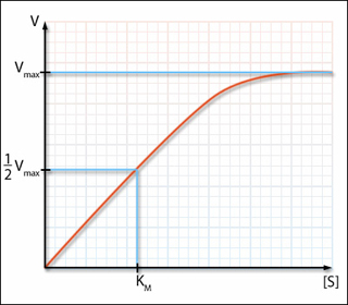 Michaelis-Menten plot.