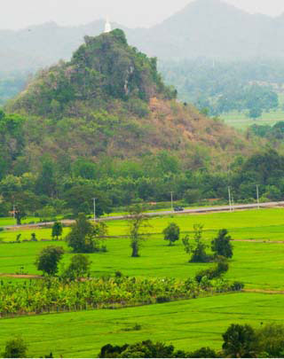 Photograph of landscape of rice fields on a plain surrounded by mountains. The mountains are wooded and the rice fields are bright green.